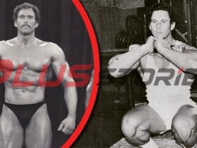 Steve Michalik